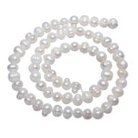 Potato Cultured Freshwater Pearl Beads, natural, white, 7-8mm Approx 0.8mm Approx 15.5 Inch 