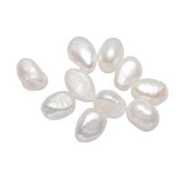 Perlas Patata Freshwater, Perlas cultivadas de agua dulce, natural, Blanco, 6-7mm, agujero:aproximado 0.8mm, Vendido por UD