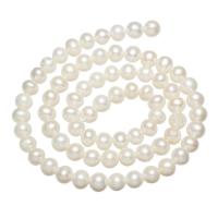 Round Cultured Freshwater Pearl Beads, natural white, 6-7mm Approx 0.8mm 
