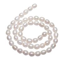 Rice Cultured Freshwater Pearl Beads, natural, white, 6-7mm Approx 0.8mm Approx 14.5 Inch 