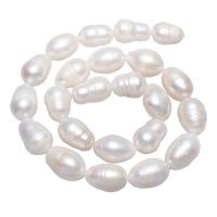 Perles nacres baroques de culture d'eau douce , perle d'eau douce cultivée, pepite, naturel, blanc, 10-11mm Environ 0.8mm Environ 15.5 pouce, Vendu par brin