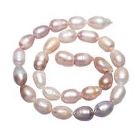 Perles nacres baroques de culture d'eau douce , perle d'eau douce cultivée, pepite, naturel, rose, 10-11mm Environ 0.8mm Environ 15 pouce, Vendu par brin