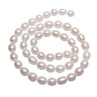 Perles d'eau douce de culture de riz, perle d'eau douce cultivée, naturel, blanc, 7-8mm Environ 0.8mm Environ 15.3 pouce, Vendu par brin