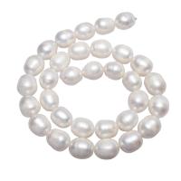 Potato Cultured Freshwater Pearl Beads, natural, white, 11-12mm Approx 0.8mm Approx 15.7 Inch 