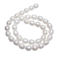 Perles d'eau douce de culture de riz, perle d'eau douce cultivée, naturel, blanc, 9-10mm Environ 0.8mm Environ 15 pouce, Vendu par brin