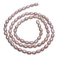 Potato Cultured Freshwater Pearl Beads, natural, pink, 3-4mm Approx 0.8mm Approx 15 Inch 