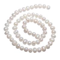 Perles nacres baroques de culture d'eau douce , perle d'eau douce cultivée, pepite, naturel, blanc, 6-7mm Environ 0.8mm Environ 15 pouce, Vendu par brin