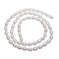 Rice Cultured Freshwater Pearl Beads, natural, pink, 4-5mm Approx 0.8mm Approx 15 Inch 