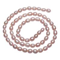 Rice Cultured Freshwater Pearl Beads, natural, pink, 4-5mm Approx 0.8mm Approx 15 Inch 