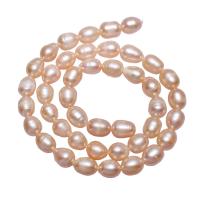 Rice Cultured Freshwater Pearl Beads, natural, pink, 7-8mm Approx 0.8mm Approx 15.5 Inch 