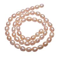 Potato Cultured Freshwater Pearl Beads, natural, pink, 6-7mm Approx 0.8mm Approx 14.5 Inch 