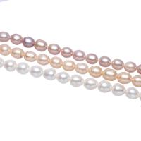 Potato Cultured Freshwater Pearl Beads, natural 8-9mm Approx 0.8mm Approx 15 Inch 