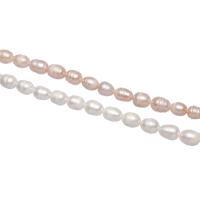 Potato Cultured Freshwater Pearl Beads, natural 8-9mm Approx 0.8mm 