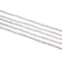 Round Cultured Freshwater Pearl Beads, natural, white, 3-4mm Approx 15 Inch 