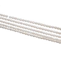 Rice Cultured Freshwater Pearl Beads, natural, white, 3-4mm Approx 0.8mm Approx 14.5 Inch 