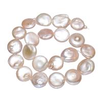 Pièce de culture des perles d'eau douce, perle d'eau douce cultivée, Plat rond, naturel, rose, 16-18mm Environ 0.8mm Environ 15.7 pouce, Vendu par brin