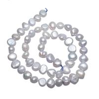 Perles nacres baroques de culture d'eau douce , perle d'eau douce cultivée, pepite, naturel, blanc, 11-12mm Environ 0.8mm Environ 15.7 pouce, Vendu par brin