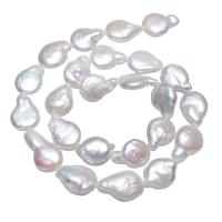 Perles nacres baroques de culture d'eau douce , perle d'eau douce cultivée, pepite, naturel, blanc, 12-13mm Environ 0.8mm Environ 15 pouce, Vendu par brin