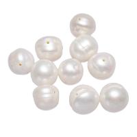 Perlas Patata Freshwater, Perlas cultivadas de agua dulce, natural, Blanco, 10-11mm, agujero:aproximado 0.8mm, Vendido por UD