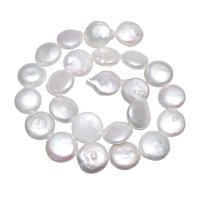 Pièce de culture des perles d'eau douce, perle d'eau douce cultivée, Plat rond, naturel, blanc, 14-15mm Environ 0.8mm Environ 15 pouce, Vendu par brin