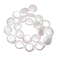 Pièce de culture des perles d'eau douce, perle d'eau douce cultivée, Plat rond, naturel, blanc, 13-14mm Environ 0.8mm Environ 16 pouce, Vendu par brin