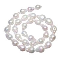 Perles nacres baroques de culture d'eau douce , perle d'eau douce cultivée, pepite, naturel, blanc, 9-11mm Environ 0.8mm Environ 15.5 pouce, Vendu par brin