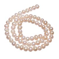 Perlas Patata Freshwater, Perlas cultivadas de agua dulce, natural, Rosado, 6-7mm, agujero:aproximado 0.8mm, longitud:aproximado 14.7 Inch, Vendido por Sarta