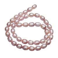 Potato Cultured Freshwater Pearl Beads, natural, white, 6-7mm Approx 0.8mm Approx 15.5 Inch 