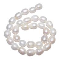 Potato Cultured Freshwater Pearl Beads, natural, white, 11-12mm Approx 2mm Approx 15 Inch 