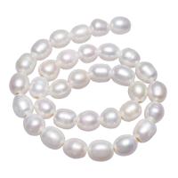 Potato Cultured Freshwater Pearl Beads, natural, white, 11-12mm Approx 2.5mm Approx 15 Inch 
