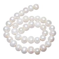 Potato Cultured Freshwater Pearl Beads, natural, white, 11-12mm Approx 2.5mm Approx 14.3 Inch 