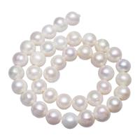 Round Cultured Freshwater Pearl Beads, natural, white, 11-12mm Approx 2mm Approx 15.7 Inch 