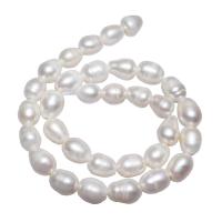 Potato Cultured Freshwater Pearl Beads, natural, white, 10-11mm Approx 2.5mm Approx 15 Inch 