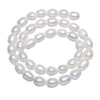 Potato Cultured Freshwater Pearl Beads, natural, white, 8-9mm Approx 1.5mm .5 Inch 