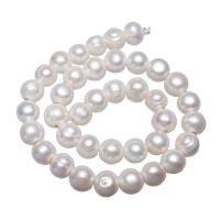 Potato Cultured Freshwater Pearl Beads, with troll, white, 11-12mm Approx 3mm .3 Inch 