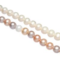Round Cultured Freshwater Pearl Beads, natural 10-11mm Approx 0.8mm .7 Inch 