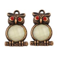 Resin Zinc Alloy Pendants, with Resin, Owl, antique copper color plated, with rhinestone Approx 2mm 