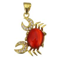Stainless Steel Animal Pendants, with Glass, Crab, gold color plated, for woman & with rhinestone, red Approx 4mm 