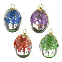 Glass Brass Pendants, with Dried Flower & Glass, Flat Oval, gold color plated Approx 