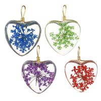 Glass Brass Pendants, with Dried Flower & Glass, Heart, gold color plated Approx 