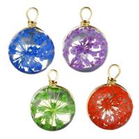 Glass Brass Pendants, with Dried Flower & Glass, Flat Round, gold color plated Approx x23mm 