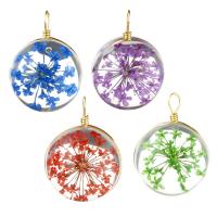 Glass Brass Pendants, with Dried Flower & Glass, Flat Round, gold color plated 
