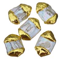 Perlas cultivadas de agua dulce Abalorio, Pepitas, chapado en color dorado, 19-20x26-30x8-10mm, agujero:aproximado 0.5mm, Vendido por UD