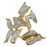 Perlas cultivadas de agua dulce Conector, con metal, Pepitas, chapado en color dorado, enviado al azar & 1/1 aro, 36-41x19-29x6-8mm, agujero:aproximado 1.5mm, Vendido por UD