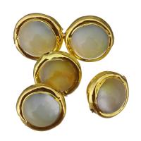 Perles nacres baroques de culture d'eau douce , perle d'eau douce cultivée, avec laiton, Placage de couleur d'or Environ 1mm, Vendu par PC