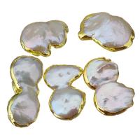 Perlas cultivadas de agua dulce Abalorio, Pepitas, chapado en color dorado, enviado al azar, 14-17x22-30x5-10mm, agujero:aproximado 0.5mm, Vendido por UD