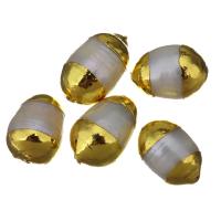 Пресноводные жемчуги Бусины, Комкообразная форма, плакирован золотом, случайным образом отправлено, 9-10x14-16x9-10mm, отверстие:Приблизительно 1mm, продается PC