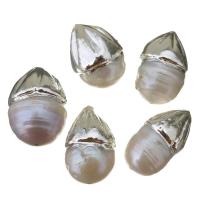 Baroque Cultured Freshwater Pearl Beads, silver color plated, random style, 12-16x20-23x12-16mm Approx 0.5mm 