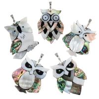 Abalone Shell Pendants, Abalone Shell Paper, with Black Shell & White Shell & Resin & Brass, Owl, platinum color plated Approx 