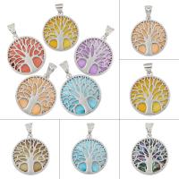 Zinc Alloy Jewelry Pendants, with Abalone Shell Paper & Freshwater Shell & White Shell, Tree, platinum color plated, dyed Approx 